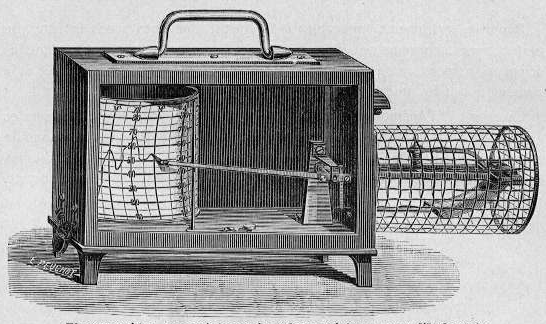 Disegno tratto dal catalogo 